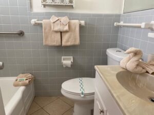 Lianka Cleaning Services LLC