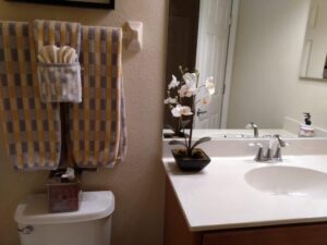 Lianka Cleaning Services LLC