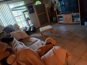 Lianka Cleaning Services LLC